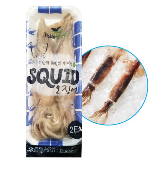 Polarbird) Squid 650g (medium size)